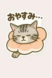 シェル(値下げ交渉お断り:プロフ参照)の画像