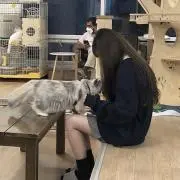 ririの画像