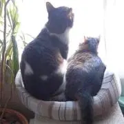 なゆの画像