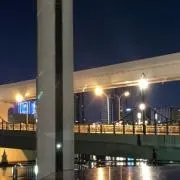 Rioの画像