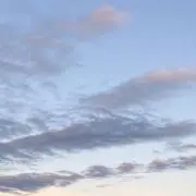やまねの画像
