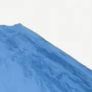 さとさんの画像