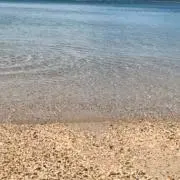 apの画像