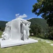 木蓮の画像