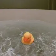 メイの画像