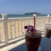 よねの画像