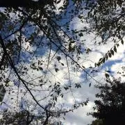 TAKA ＊プロフ必読して下さいの画像