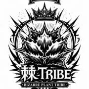 棘Tribeの画像