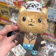ケット