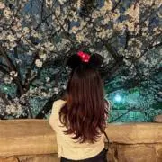 Yの画像