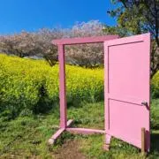 みきみきの画像