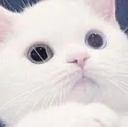 しのの画像