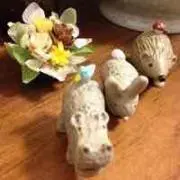 まめこの画像