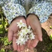 くぼの画像