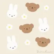 shの画像