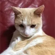 ルナの部屋　プロフィール読んで下さいねの画像
