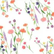 midoriの画像