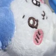 ひよりの画像