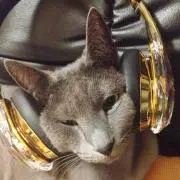 TORA