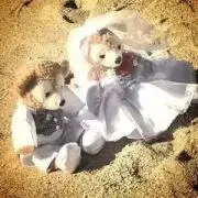 ａｍｏ＊　原則週末発送のみm(__)mの画像