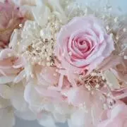 フラワーの画像