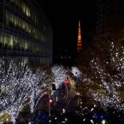 flameの画像