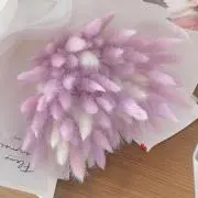 kuran.の画像