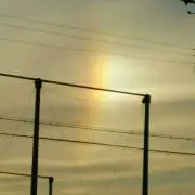 めむ