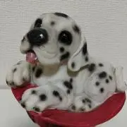 ゆっこ