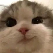 rruの画像