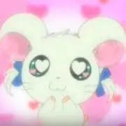 ぴの画像