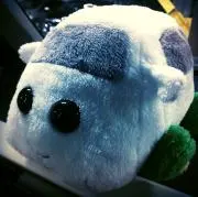 kamaの画像