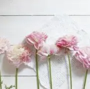 coeur*の画像