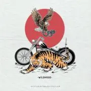 801ライダーの画像