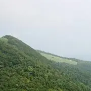 sakuの画像