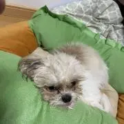 えいたやんの画像
