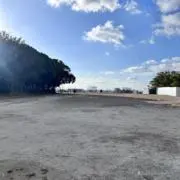 田中みるくの画像