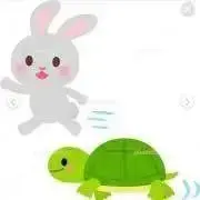 かめの画像