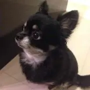 なおなおなおの画像