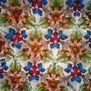 ノンノンの画像