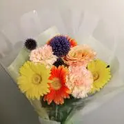 yooの画像