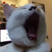 オフ