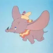 ダンボ