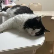 ジェイシ☕️の画像