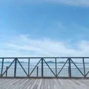 pata⭐︎の画像