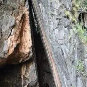 まーの画像