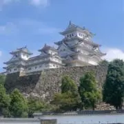 なんでもとしちゃんの画像