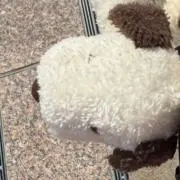 ♡♡の画像