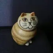 あゆかんの画像