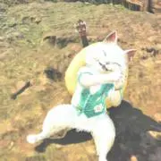 ひかる